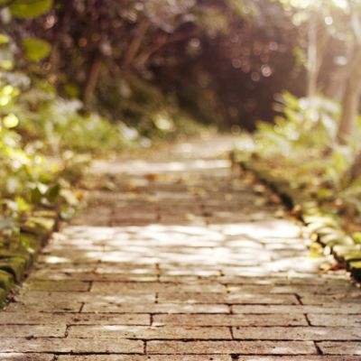 电子娱乐平台游戏大全